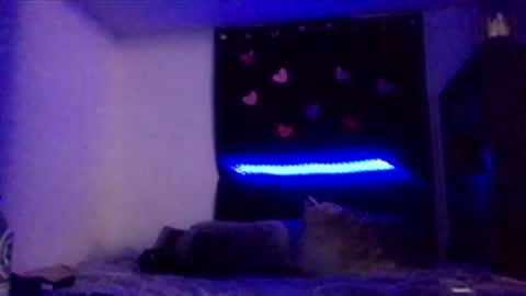 Missbellaaaxox online show from 02/15/26, 08:13