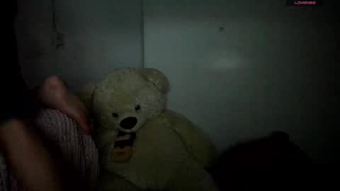 Snapshot of naim_theking chatting on 02/17/26, 06:36 N A I M T H E K I N G online show from 02/17/26, 06:36