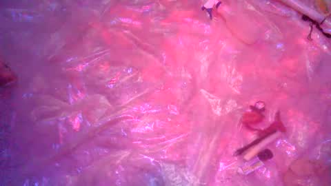 nakednate1780 online show from 12/23/24, 06:22