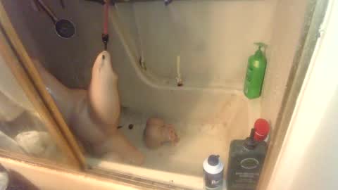 nakednate1780 online show from 02/06/25, 07:13