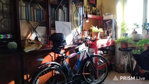 Naked Naturist online show from 04/06/26, 06:47