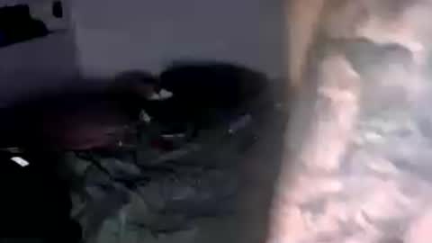 Snapshot of nancyngeorge chatting on 06/15/26, 01:57 nancy n george online show from 06/15/26, 01:57
