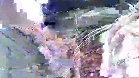 Nane online show from 11/19/25, 12:16