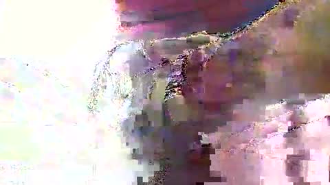Nane online show from 06/06/26, 08:30