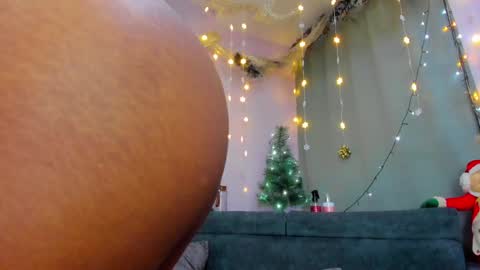Snapshot of naomi_jones13 chatting on 12/30/24, 11:28 Nahomi Jones online show from 12/30/24, 11:28