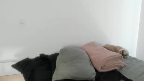 Naomi Moore online show from 01/17/26, 06:11