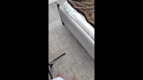 Snapshot of nastyluv143 chatting on 11/17/25, 05:41 Asian Milf Show online show from 11/17/25, 05:41