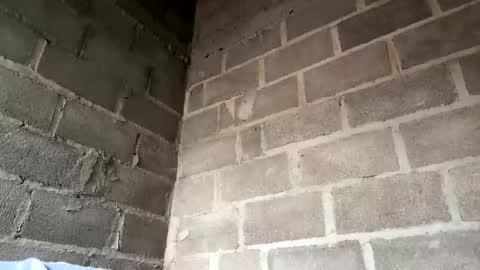 natasha__magics online show from 02/01/26, 05:11