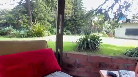 Snapshot of natashadiamondd chatting on 06/23/26, 01:42 NatashaDiamond online show from 06/23/26, 01:42