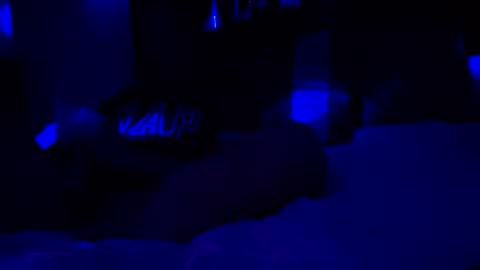 Haven online show from 01/08/26, 09:22