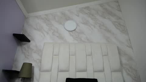 Kitten online show from 02/12/25, 10:35