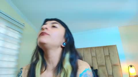 Kitten online show from 03/04/26, 06:03