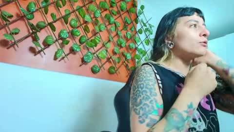 Kitten online show from 04/11/26, 10:52