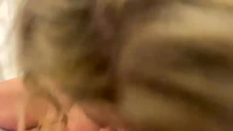 Naughtycouple2026 online show from 04/24/26, 02:03