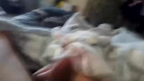 naughtyfelons6969 online show from 10/04/25, 09:07