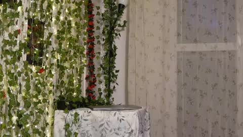 Snapshot of naughtyhomemade17 chatting on 05/17/26, 06:48 Mya Alexya online show from 05/17/26, 06:48
