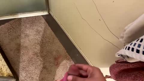 nbarrie98 online show from 12/07/24, 04:25