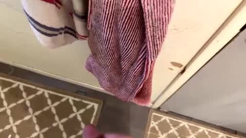 nbarrie98 online show from 02/09/25, 04:18