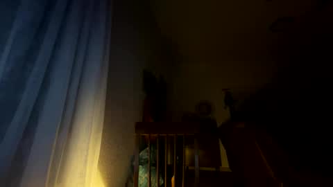 nboss55 online show from 10/08/25, 05:16