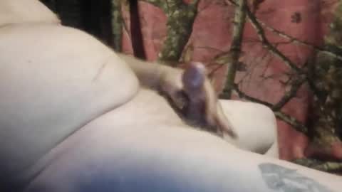 ned is naughty online show from 03/07/26, 10:45