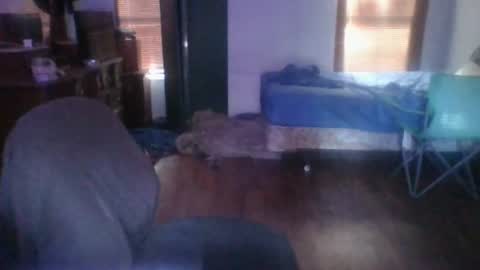 Snapshot of ned_is_naughty chatting on 06/24/26, 12:31 ned is naughty online show from 06/24/26, 12:31
