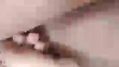 negrett_ online show from 06/01/26, 05:03