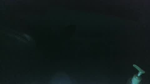 nelsonbucara online show from 03/08/25, 10:00