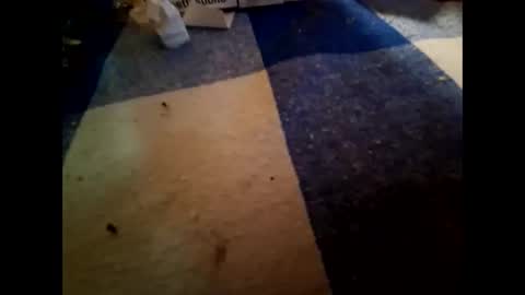 boo online show from 11/01/25, 10:23