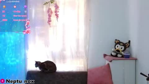 Neptu noxx online show from 01/31/25, 09:48