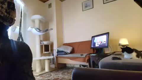 nessieanalemma online show from 02/24/26, 08:34