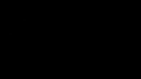 never_forget_this online show from 02/14/26, 02:41