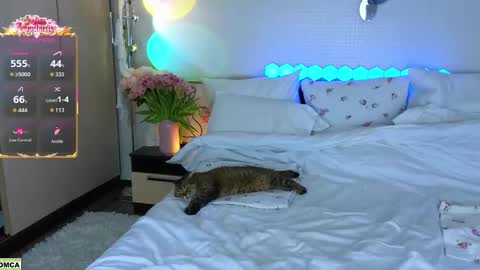 never give up  online show from 03/17/26, 12:08