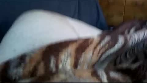 Matt online show from 12/01/24, 07:36