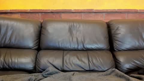 Snapshot of new_matilda chatting on 12/31/24, 05:18 Matilda online show from 12/31/24, 05:18