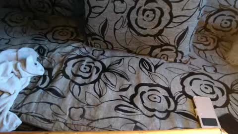 Lilly  online show from 04/08/26, 04:07