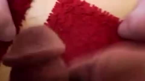 BookWriter online show from 12/02/24, 06:09