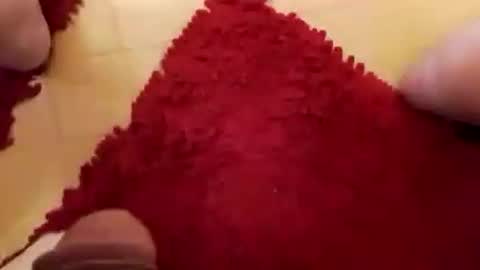 BookWriter online show from 12/07/24, 08:33