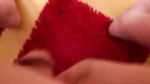 BookWriter online show from 12/08/24, 07:05