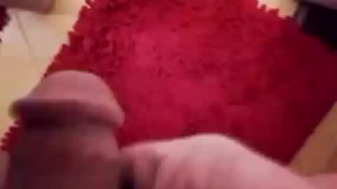 BookWriter online show from 12/12/24, 07:30