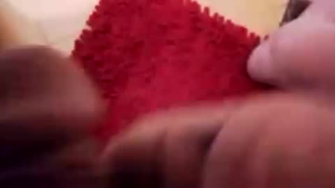 BookWriter online show from 12/13/24, 08:20