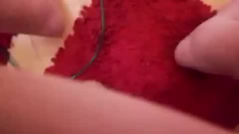 BookWriter online show from 12/16/24, 08:20