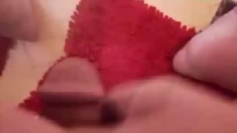 BookWriter online show from 12/20/24, 08:17