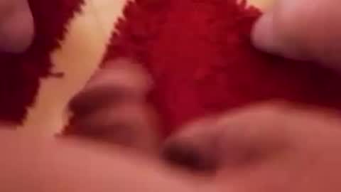 BookWriter online show from 12/26/24, 06:30