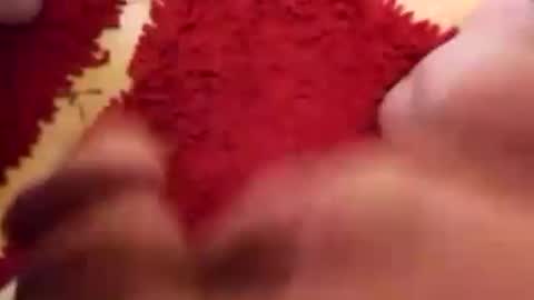 BookWriter online show from 12/31/24, 05:55