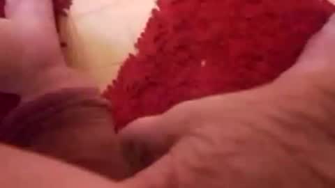 BookWriter online show from 01/08/25, 06:52