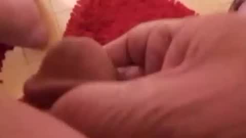 BookWriter online show from 01/11/25, 07:39