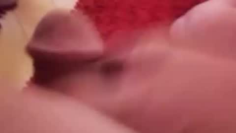 BookWriter online show from 01/14/25, 07:06