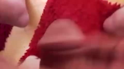 BookWriter online show from 01/16/25, 06:56