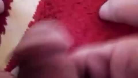 BookWriter online show from 01/20/25, 06:53