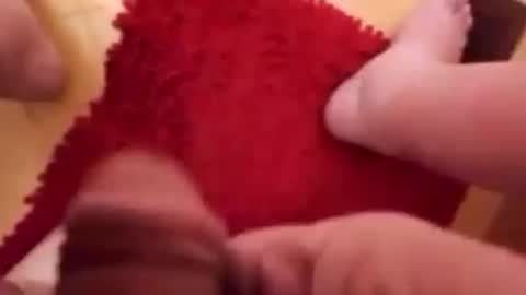 BookWriter online show from 01/22/25, 06:52